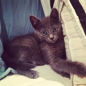 Meet your Posher, Nina